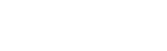 Neue South Collective Logo